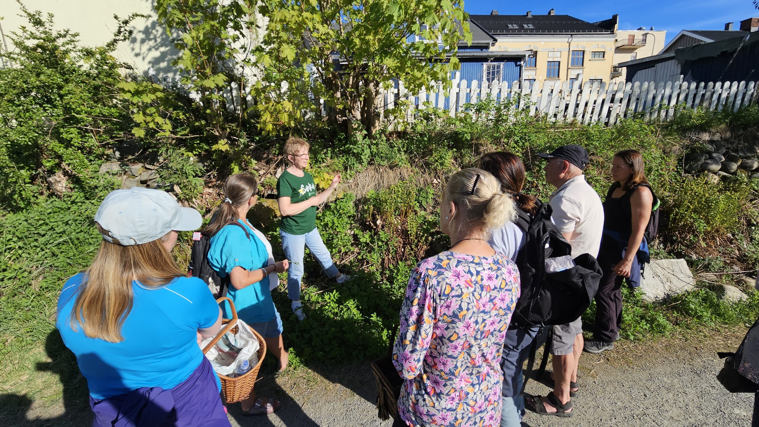 Urban nyttevekstvandring – Notodden